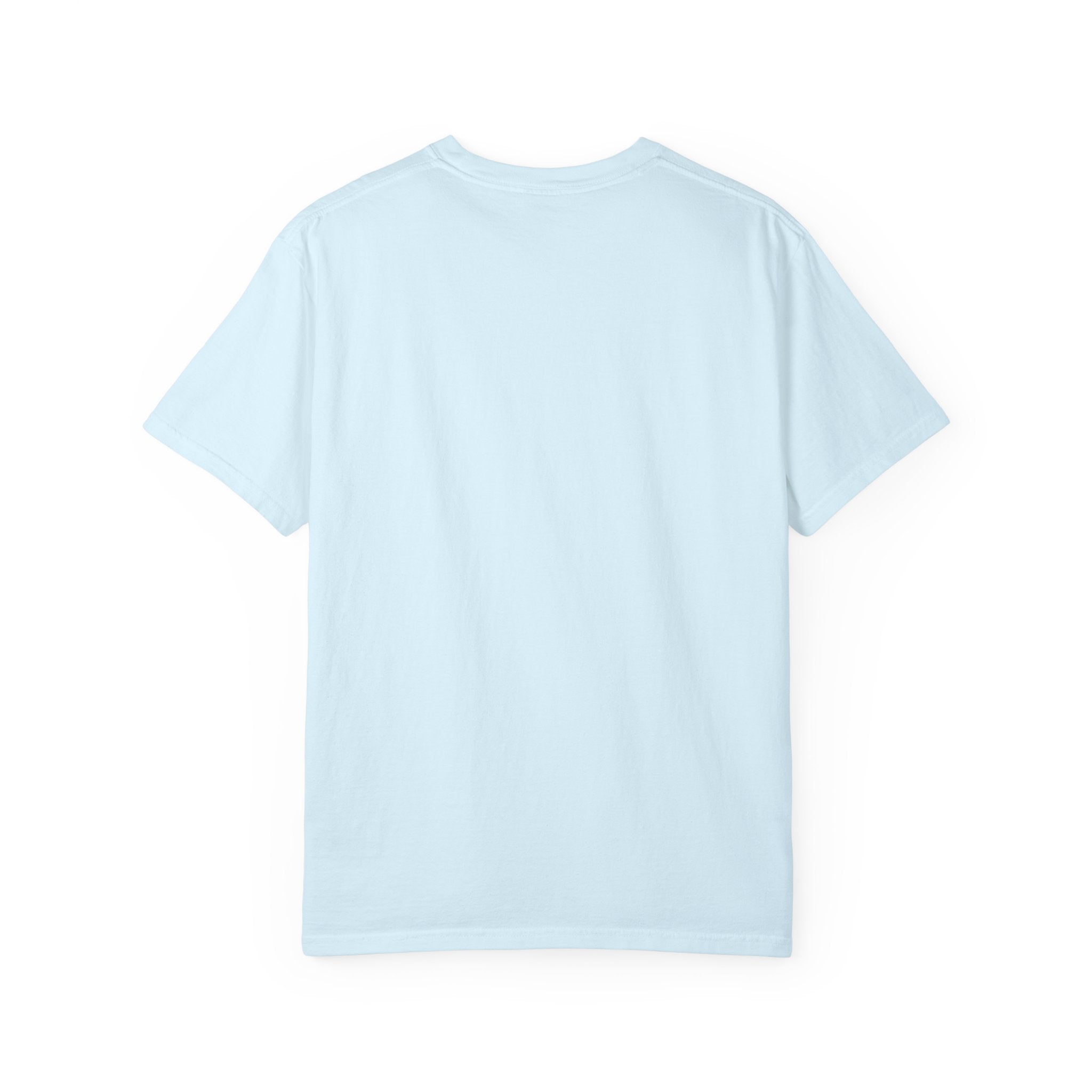 No Gi No Problem Jiu-Jitsu Graphic Tee