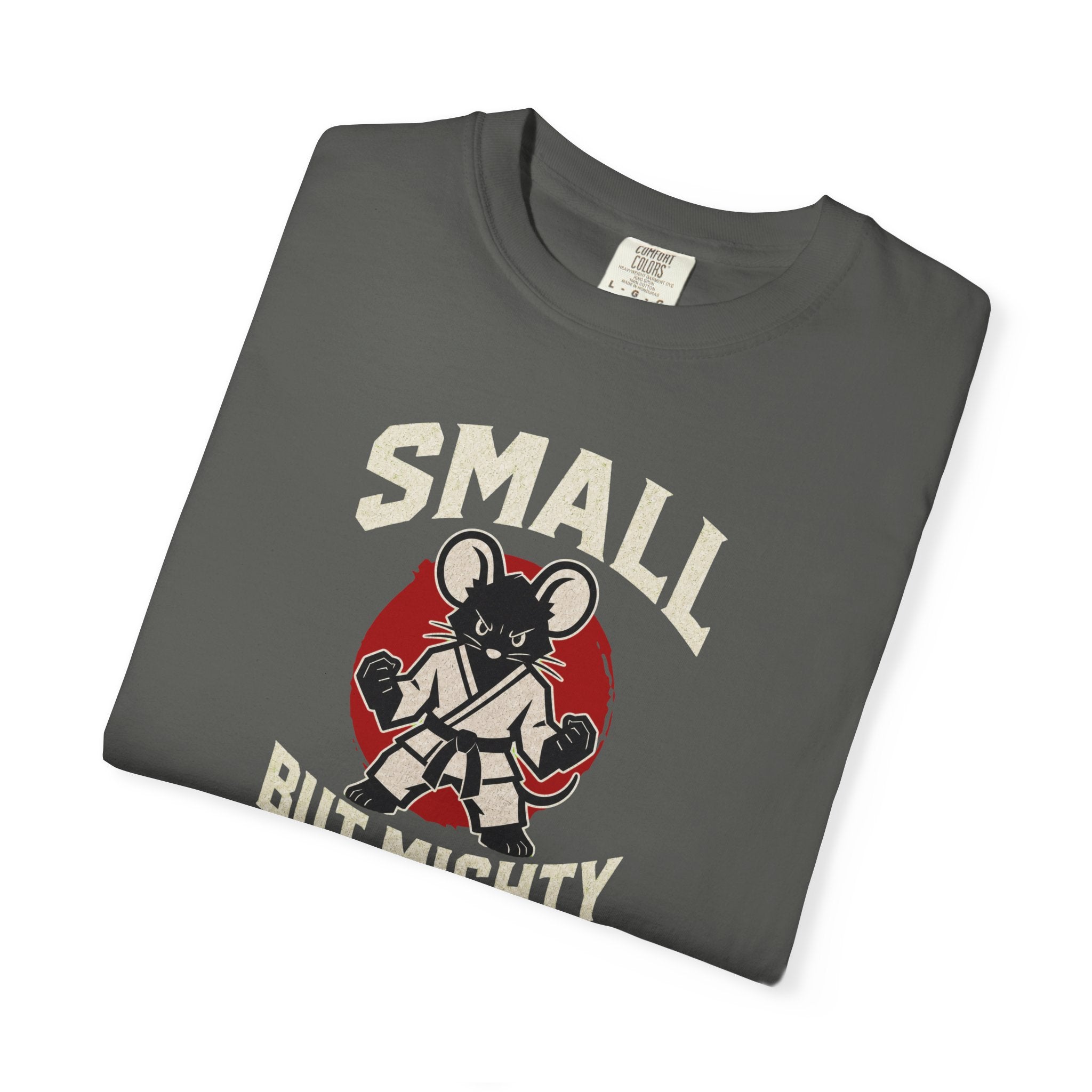 Small But Mighty Martial Arts Mouse