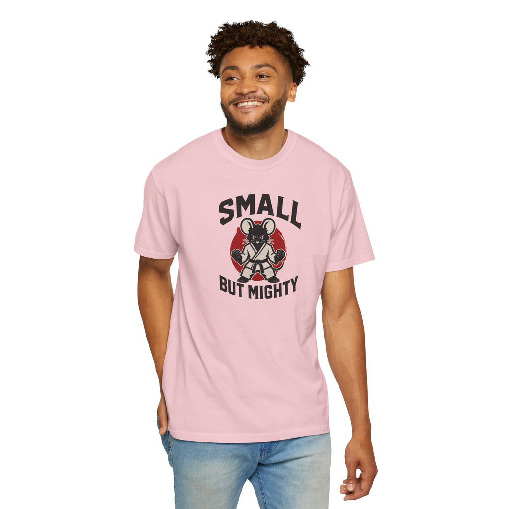 Small But Mighty Martial Arts Mouse