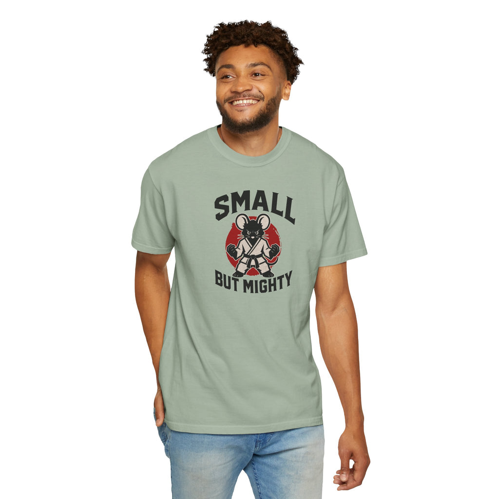 Small But Mighty Martial Arts Mouse