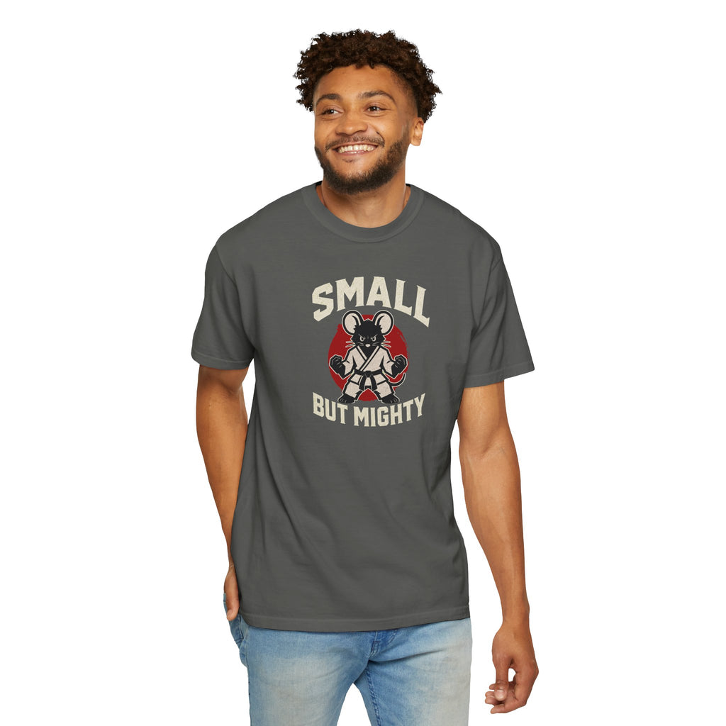 Small But Mighty Martial Arts Mouse