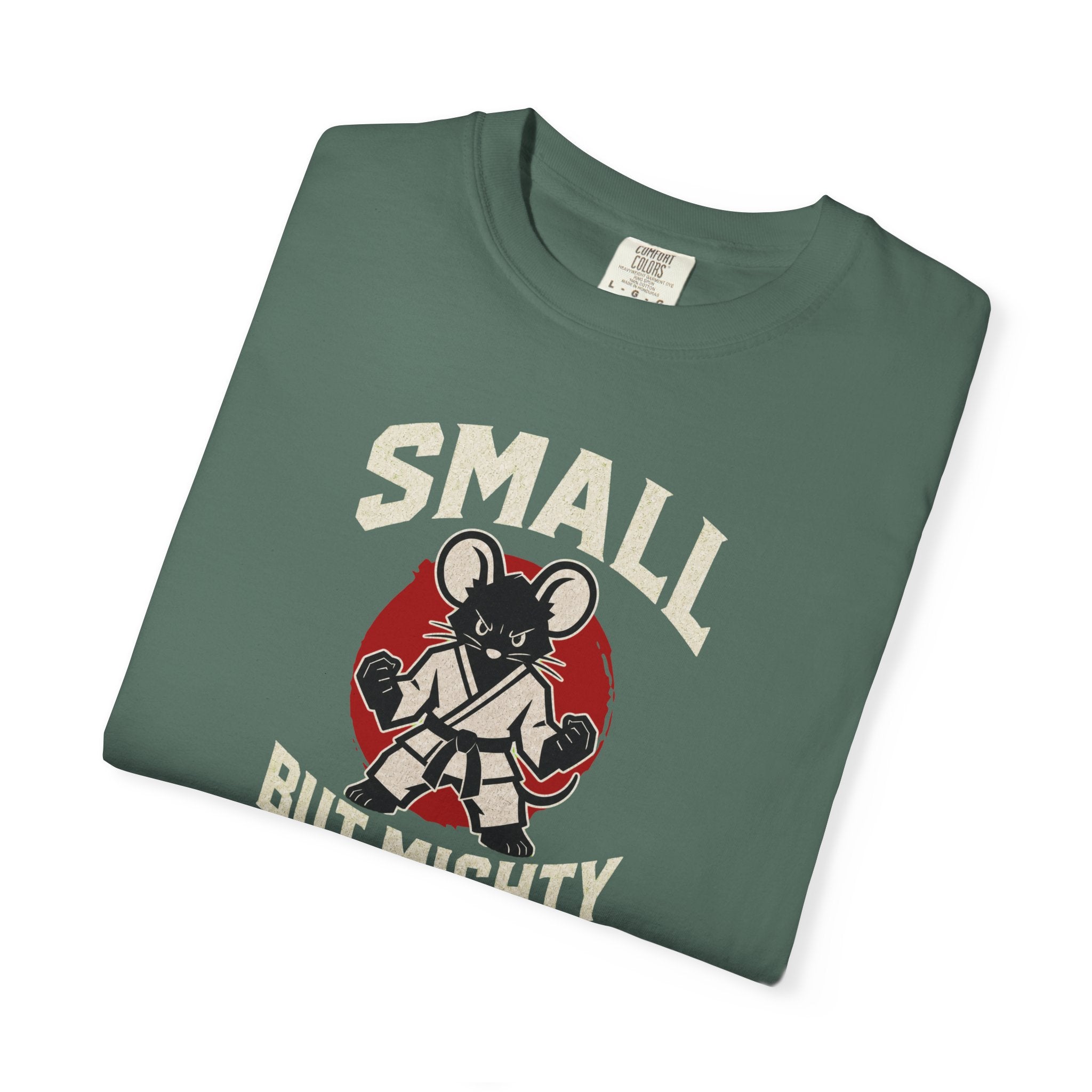 Small But Mighty Martial Arts Mouse